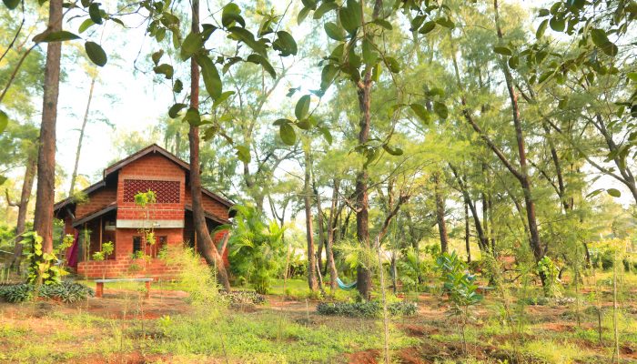 The view of the villa from the North. The hammocks and benches are also visible.