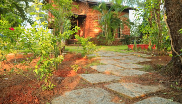 The pathway leading to the villa.