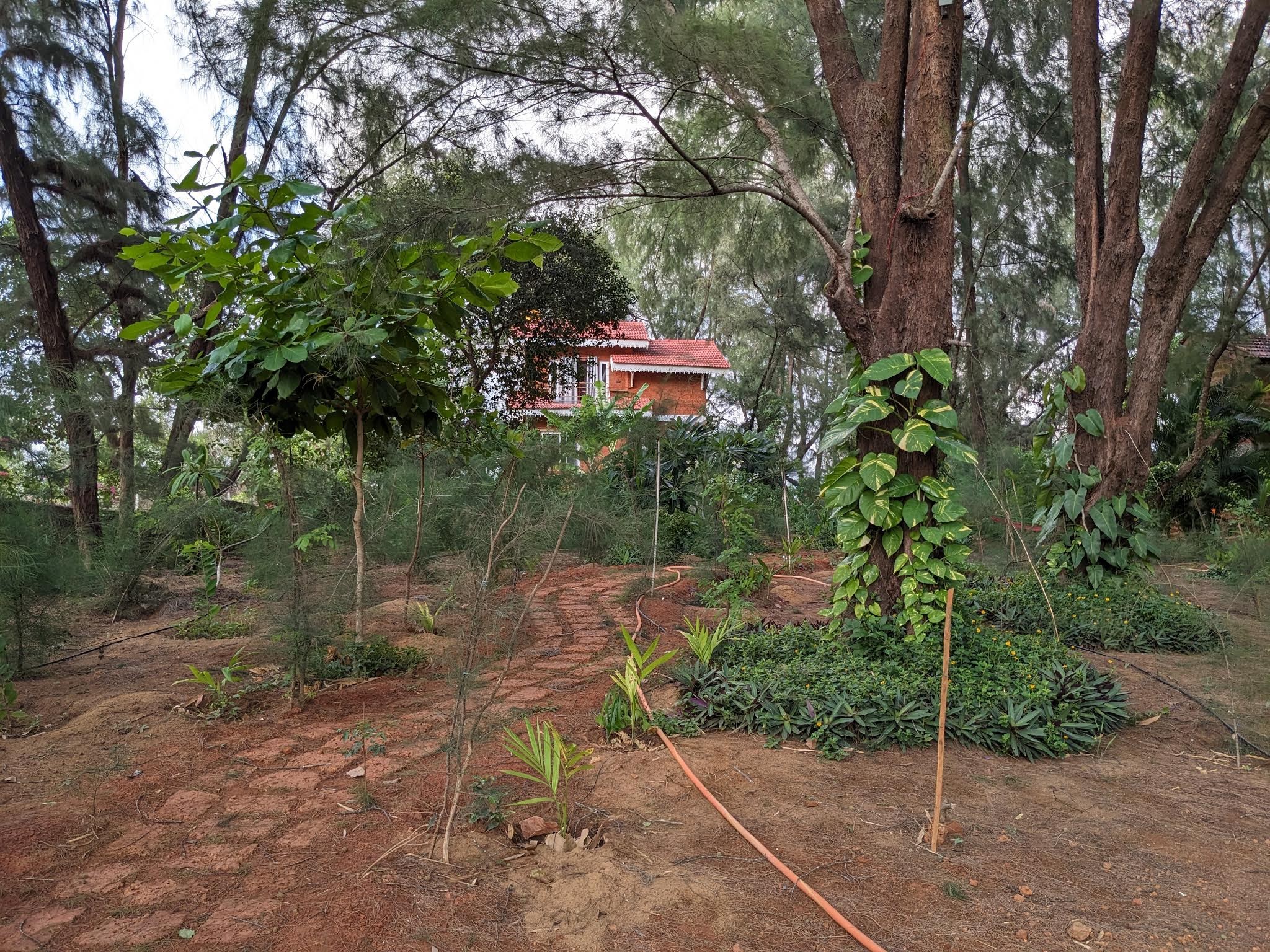 View of Villa 2 from the garden