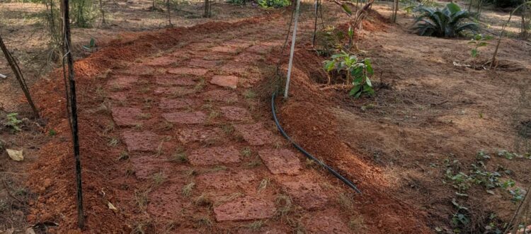 A laterite stone pathway leads to the entrance of Villa 2